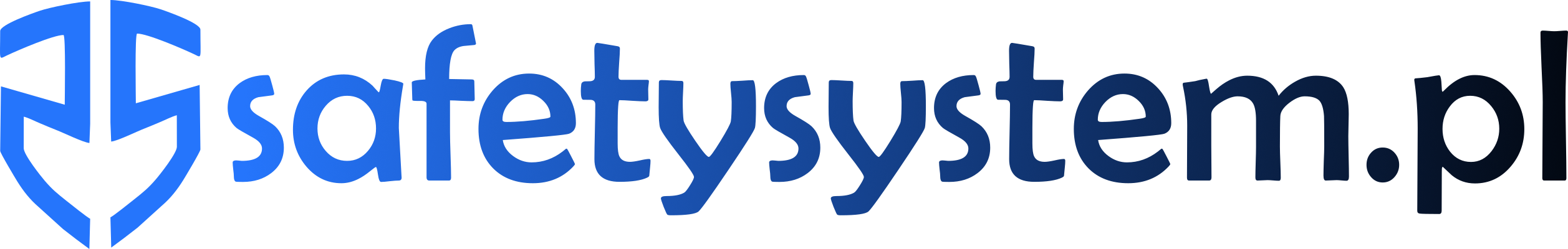 SafetySystem Logo